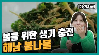 [생생3도] 봄을 위한 생기 충전, 해남 봄나물｜KBS 210226 방송