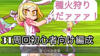 【FGO】初心者向け種火3T周回  編成紹介動画