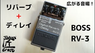 BOSS RV-3 Review