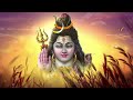 नसीब वाले ही सुन पाते है महाशिवरात्रि की कथा। mahashivratari special shivratri katha 2024 bhajan