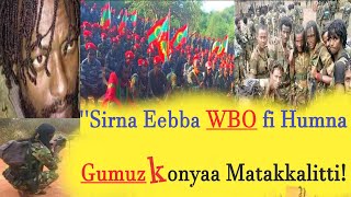 Sirna Eebba Humna WBO fi Humna Gumuz Konyaa Matakkalitti #wbo #Ola #oromiyaa #jaalmarroo