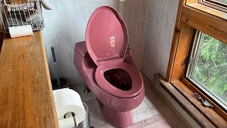 Red 1989 Kohler San Rapheal Toilet!