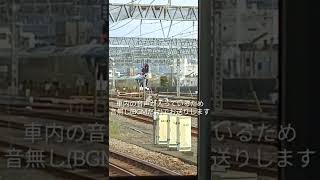 とあるレア列車に遭遇………小田原駅にて