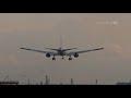 4k plane spotting 2018 spring at tokyo haneda airport jal ana 羽田空港 日本航空 全日空