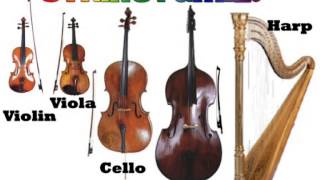 WHICH IS WHICH? STRINGED INSTRUMENTS.