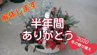 冬の寄せ植え解体しました♪