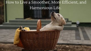 How to Live a Smoother, More Efficient, and Harmonious Life: A Concept from the World of Physics