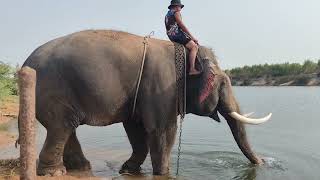 ความสุขของพ่อมหาจำเริญตูลูนี้คือความสุขของแม่ๆและทุกๆคนครับ