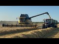 Farm update 282 Harvesting barley and wheat starts but yields and quality disappoint.