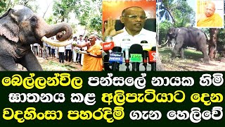 බෙල්ලන්විල පන්සලේ නායක හිමි ඝාතනය කළ අලිපැටියට දෙන වදහිංසා පහරදීම් ගැන හෙලිකරයි/ Bellanwila temple