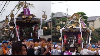 平成２９年　茅ヶ崎市東海岸北　八大龍王神 例大祭　神輿発輿