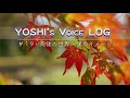 voice log 死後の世界～僕のイメージ ３次元のカラクリを知って５次元へ移動♪