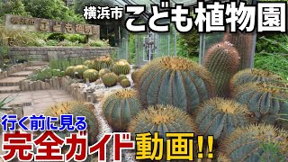 【南区】大人も絶対楽しい！横浜市こども植物園を歩こう！