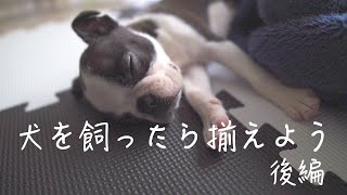 【コスパ重視】犬を飼う前に準備する物後編/ボストンテリア【犬グッズ】