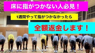 【即時効果】驚異のジャックナイフストレッチ！（ハムストリングスの柔軟性向上）