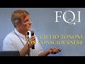 Giulio Tononi on Consciousness