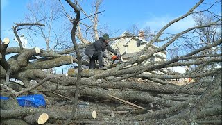 Cleanup underway at 20-acre flower farm in Winterset