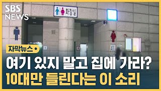 비행 막는다고 고주파 튼다는데…정말 효과 있을까? (자막뉴스) / SBS