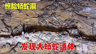 The python cave under the 100-meter shaft unexpectedly found the remains of the python, which was t