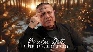 Nicolae Guta - Ai vrut sa pleci si ai plecat [Video Oficial] HIT 2024