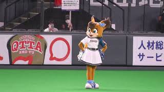 2020.10.29② ファイターズガール 選手送り出し