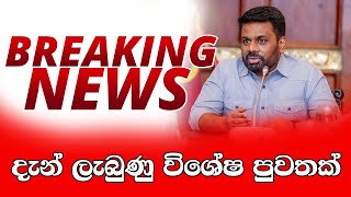 ජනපති අනුර ගැන දැන් ලැබුණු විශේෂ පුවත - BREAKING NEWS