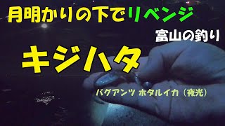 【富山の釣り】キジハタにリベンジ！！