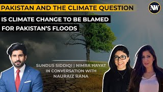 Is Pakistan Responsible for the 2022 Floods | Cost of Climate Change | Govt. Role in Risk Management