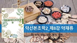 약선본초학2: 제8강 약재류(2) - 연자, 연잎, 연근, 황기, 당귀