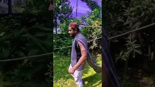 নাতি খেয়েছে মাল আমার মাথায় পানি ঢাল🤣Best Funny Video2024 #RAJASHIRAJUDDOWLA #shortsviral#funnybuzz