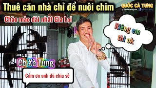 Thuê hẳn căn nhà chỉ để nuôi chim NGHỆ NHÂN TÂN SÀI GÒN may mắn được anh chia sẻ CB XÀ TƯNG