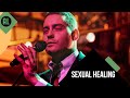 Douwe Bob – Sexual Healing | Matthijs Gaat Door