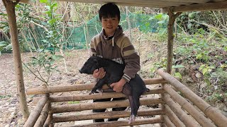 Poor boy _ Bringing jars of preserved pickles to the market to sell | buying pigs to raise