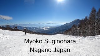 Your understanding of Myoko Suginohara Resort is perfect! 【japow,Nagano,Explanation 】