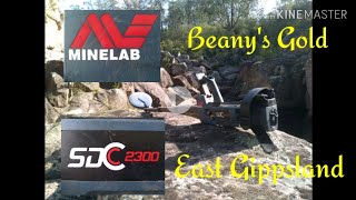 MINELAB SDC 2300 Strikes gold in old workings!