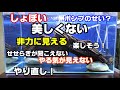 日淡水槽立ち上げ！ 川の流れの様に・・・【ドンコ水槽⑳】