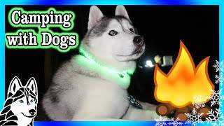 HUSKIES GO CAMPING | Camping 2017 | Dog Vlog
