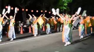 紀州よさこい祭り～夢屋舞組　けやき大通り競演場～