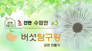 [초간단 생태수업안 3] 버섯 탐구왕