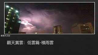 觀天賞雲 : 低雲篇 - 積雨雲