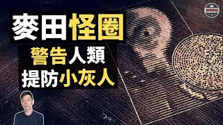 顛覆人類認知的「麥田怪圈」，竟然是高等外星文明的警告（2019）｜【你可敢信 \u0026 Nic Believe】