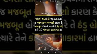 જીવનમાં હંમેશા શાંત રહો.