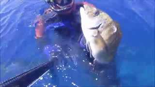 Samos spearfishing 2