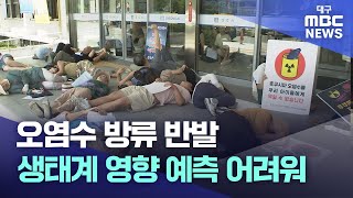 후쿠시마 방류 반발..바다 생태계 영향 예측 어려워 | 대구MBC뉴스