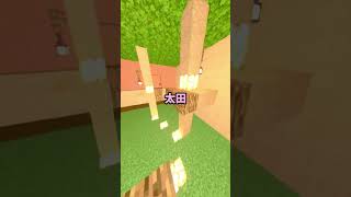 【#マインクラフト】自分の名字あったらすごい！？この名字呼ばれたら天才！！【#shorts 】