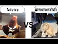 turi ip ip ip vs wowowowowahwah (Epic Rap Battle)