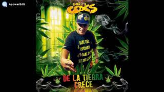 Los Gedes - De La Tierra Crece (Julio 2019)