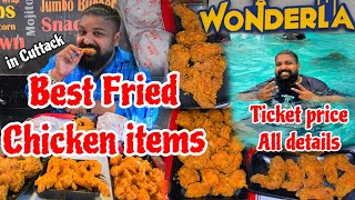 Best Ever Fried Chicken Items in Cuttack 🤤 Wonderla Bhubaneswar All Ticket and Detailed Tour