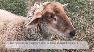 Good Shepherd Children's Story