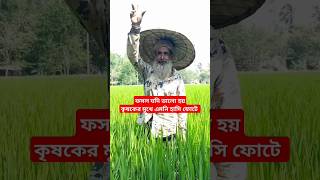 ফসল যদি ভালো হয়।#farming #agriculture #কৃষি_খামার #natural #farmer #ধান #ধানের #কৃষি #ফসলের_ডাক্তার